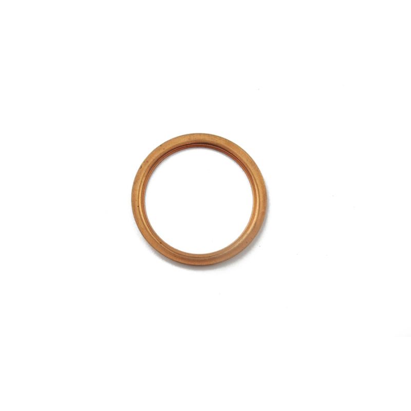 DRAIN PLUG WASHER:  DART