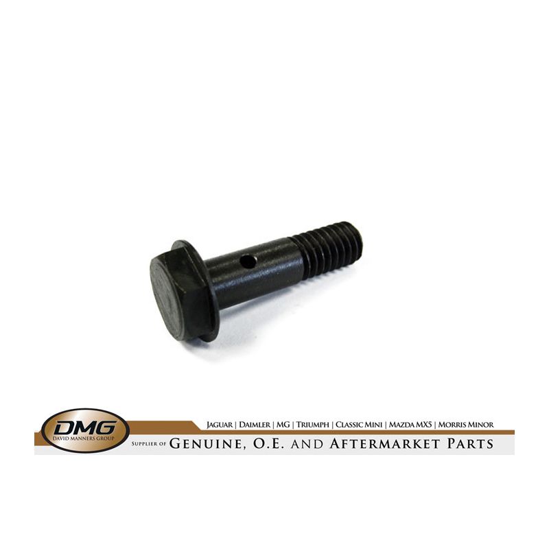 BANJO BOLT (SHORT):  V8, DART