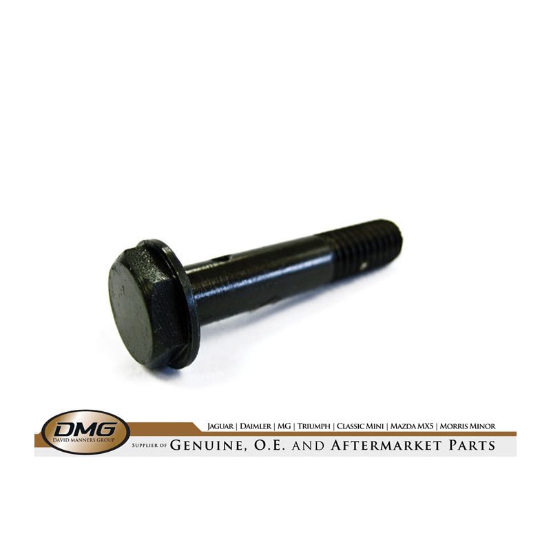 BANJO BOLT (LONG):  V8, DART