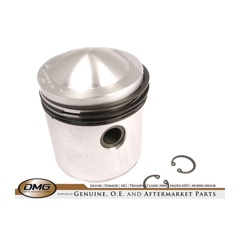 PISTON ASSEMBLY STD:  3.8 ENGINE 9:1 COMP