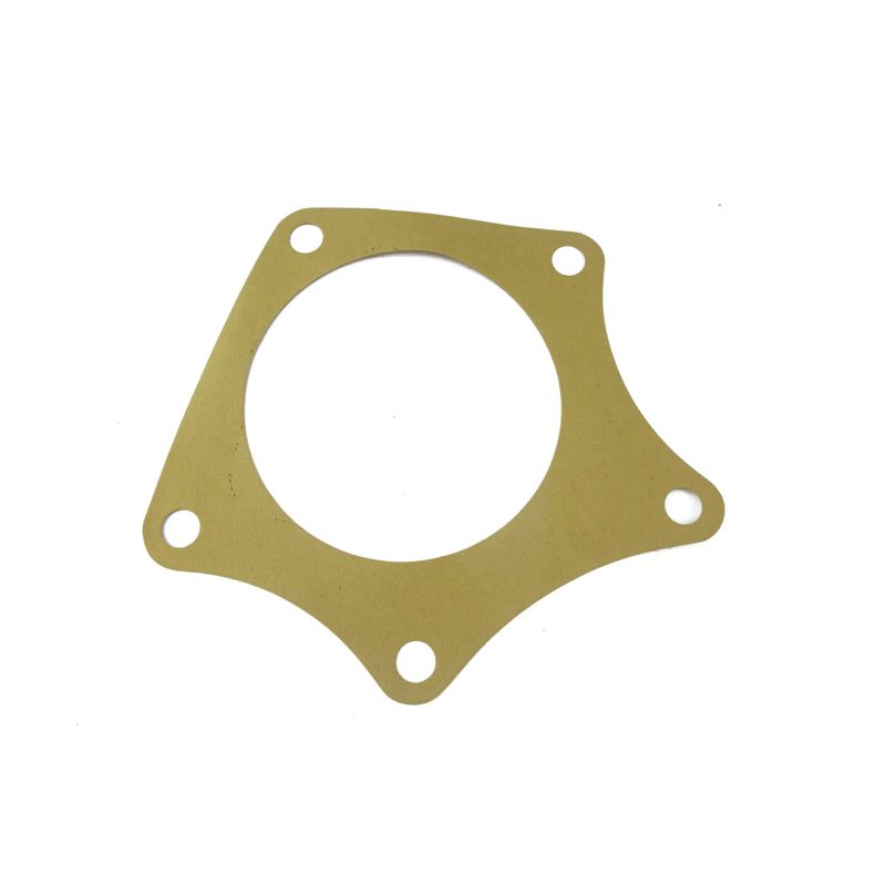 WATER PUMP GASKET:  DART