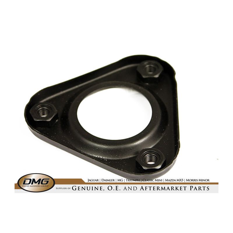 PLUG RETAINING PLATE:  E-TYPE