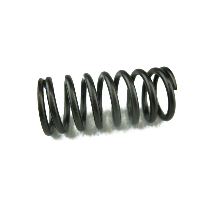 VALVE SPRING INNER:  V8, DART