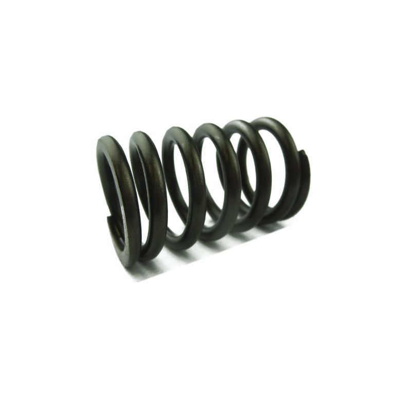 VALVE SPRING OUTER:  V8, DART