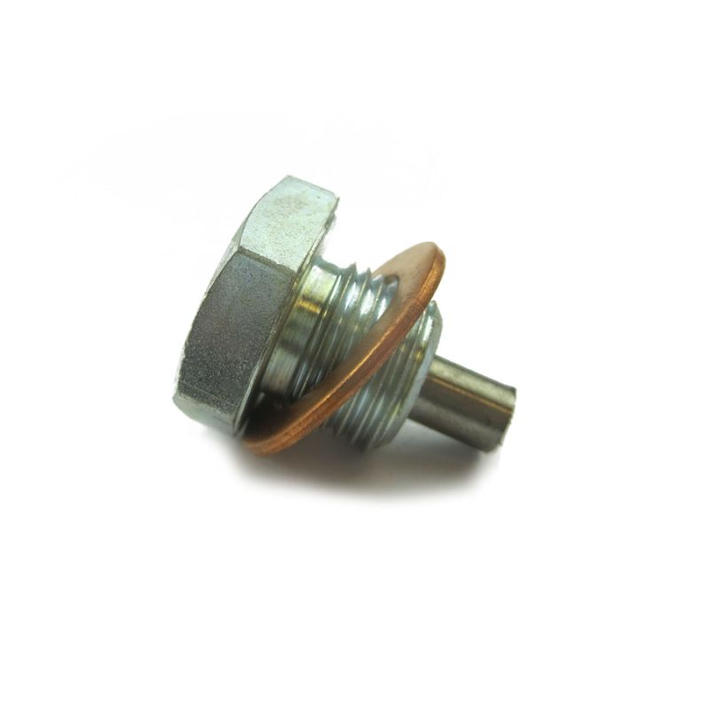 SUMP DRAIN PLUG:  ALL EARLY MODELS
