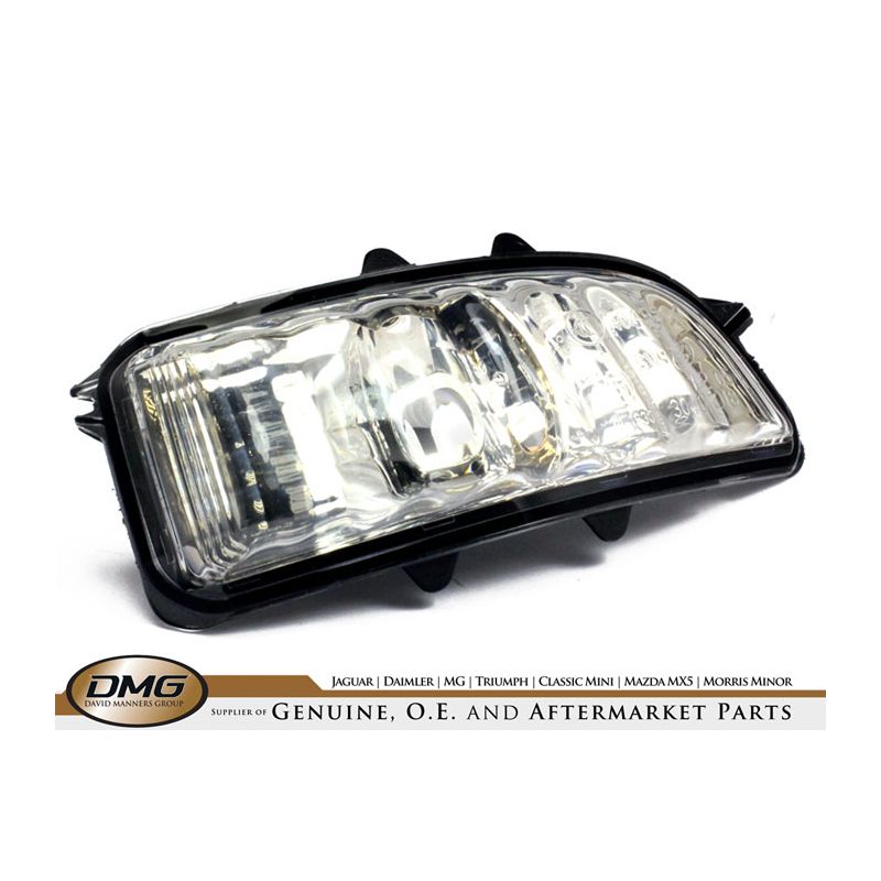 RH DOOR MIRROR LAMP:  X-TYPE