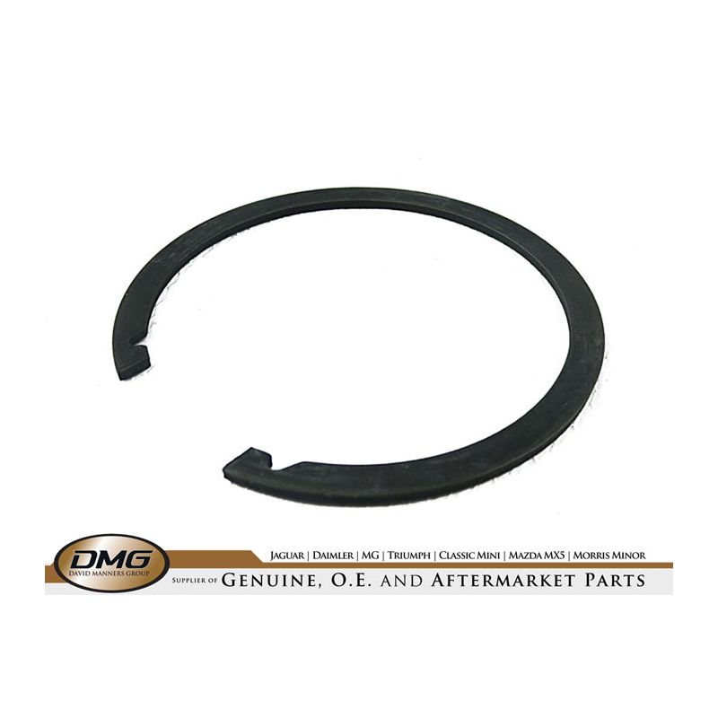 RETAINING CLIP:  XJ, S-TYPE