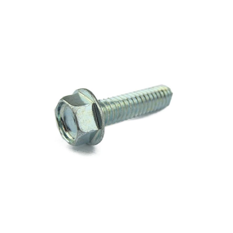CAM COVER SCREW:  V12 ENGINE