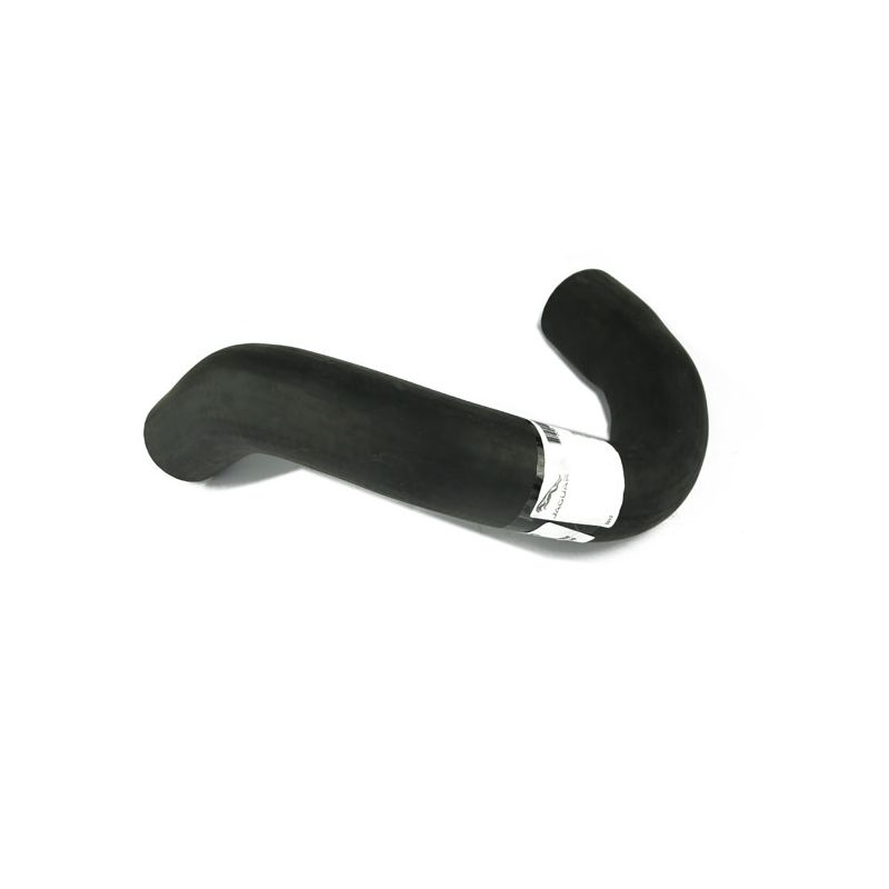 BOTTOM HOSE:  XJ12, XJS