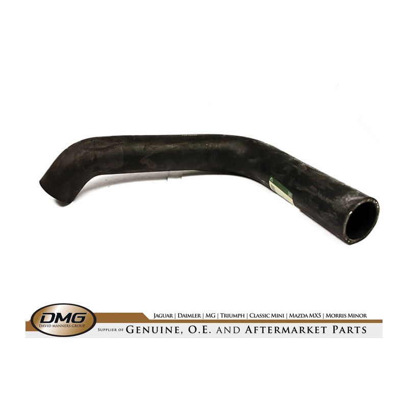 BOTTOM WATER HOSE:  XJS