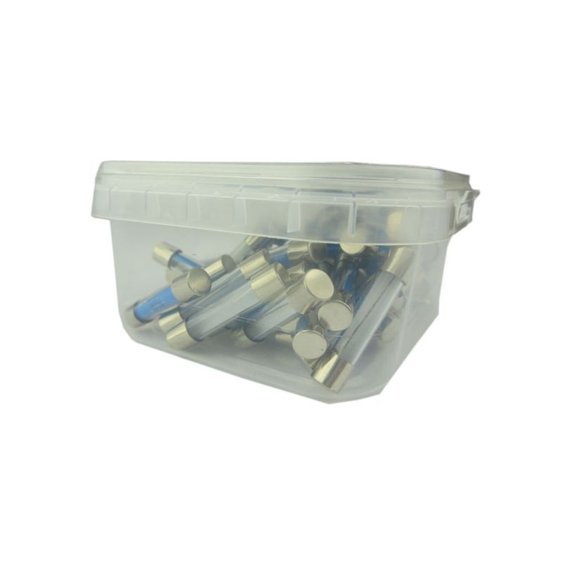 10 AMP GLASS-TYPE FUSES (PKT 50)