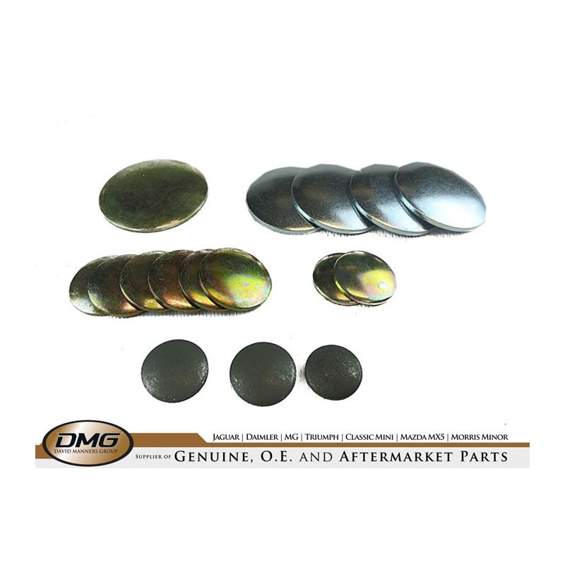 ENGINE CORE PLUG KIT:  V8, DART