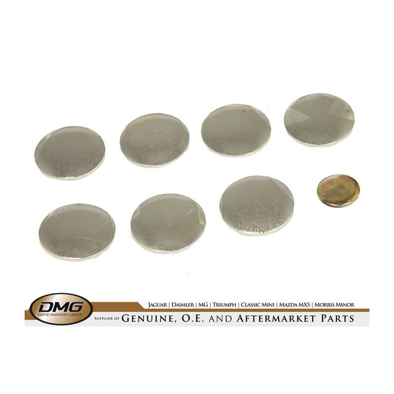 CORE PLUG KIT:  6 CYL (NOT 4.2 OR XJ)