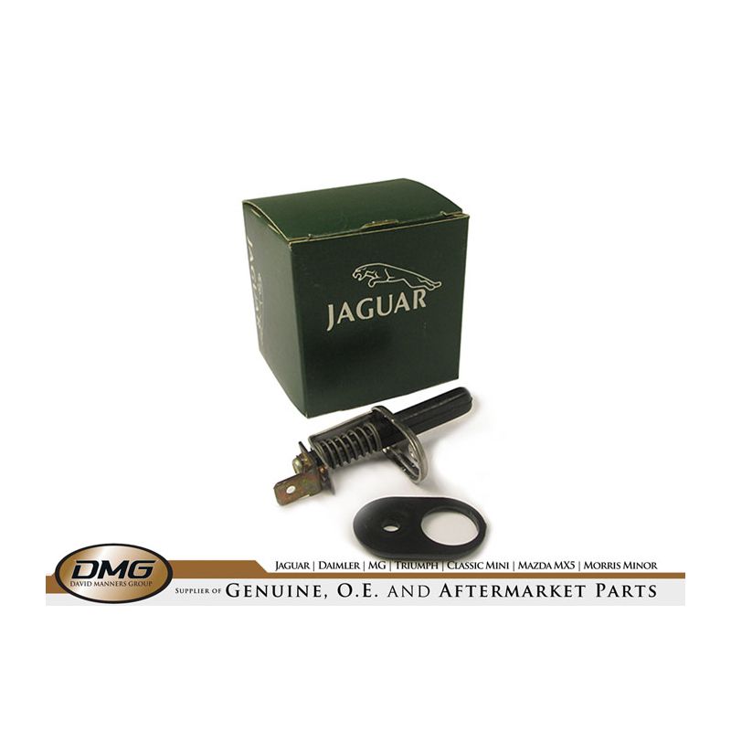 COURTESY LAMP SWITCH:  LIMOUSINE, HEARSE