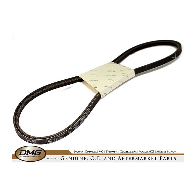 POWER STEERING BELT:  XJ12, XJS