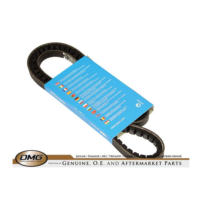 POWER STEERING BELT:  XJ12, XJS V12 5.3L