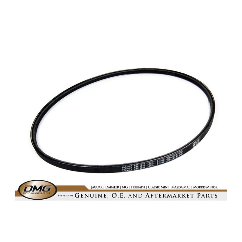POWER STEERING BELT:  XJ6