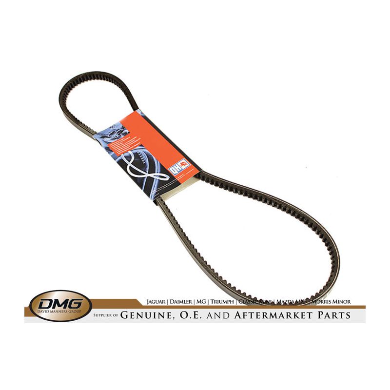 POWER STEERING BELT:  XJ6, TR8