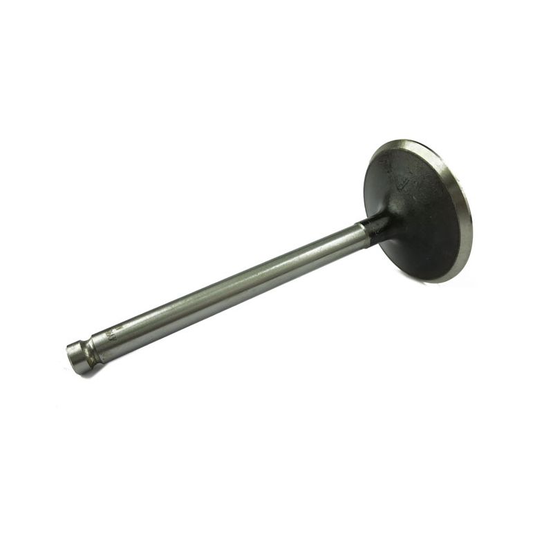 INLET VALVE:  6 CYLINDER INJECTION