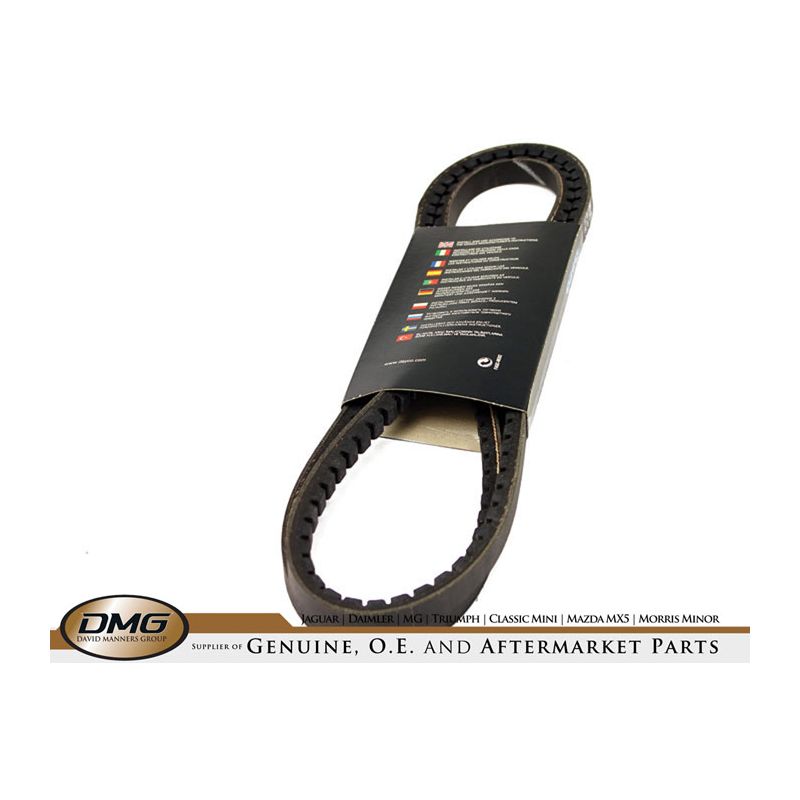 AIR CON/COMPRESSOR BELT:  XJ12, XJS