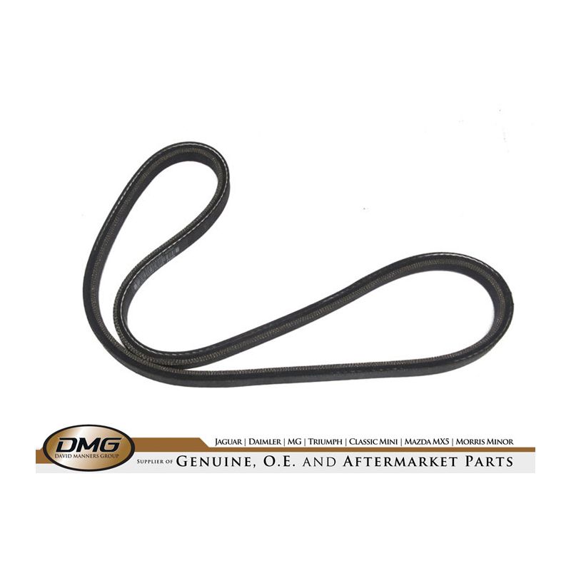 ALTERNATOR BELT:  XJ6, XJ12, XJS