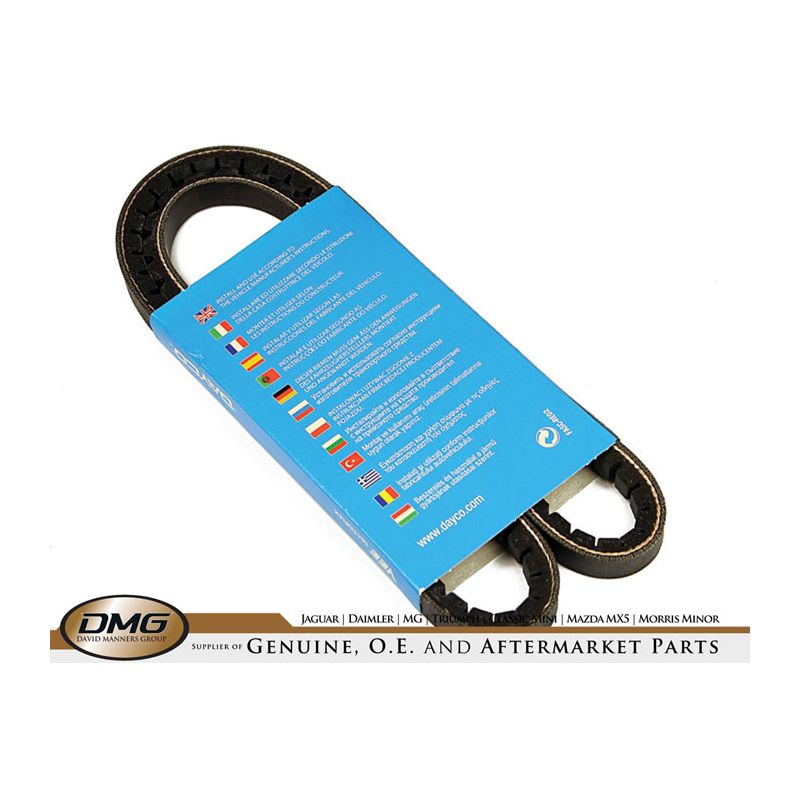 COMPRESSOR BELT:  XJ40, XJS 3.6