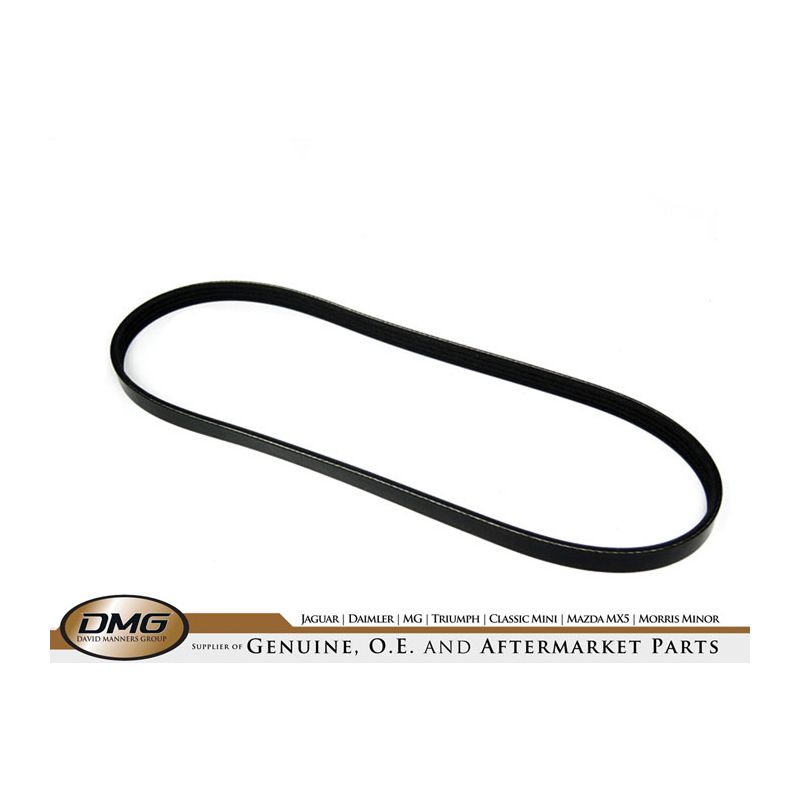 ALTERNATOR BELT:  XJ12, XJS V12 5.3L