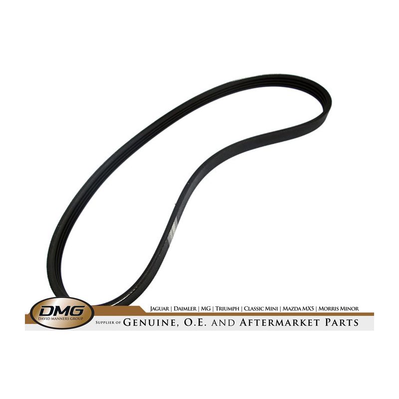 ENGINE DRIVE BELT (735MM):  X-TYPE