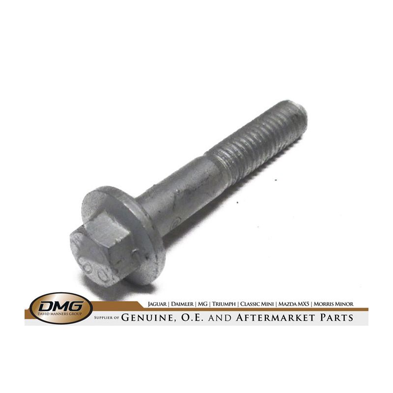CHAIN TENSIONER BOLT:  VARIOUS
