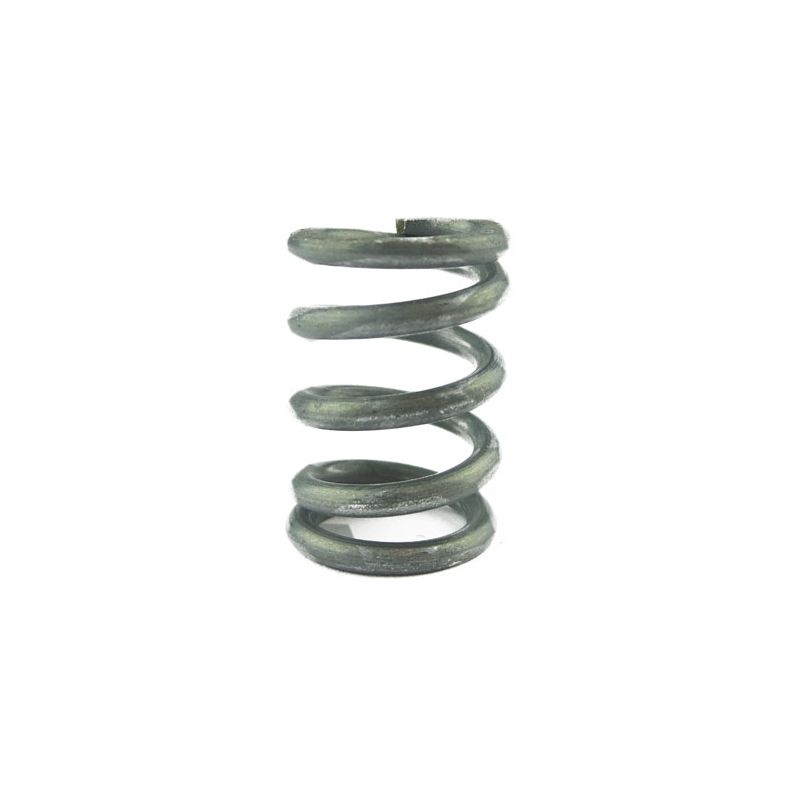 COMPRESSION SPRING:  XK8, XJS, XJ6, XJ12