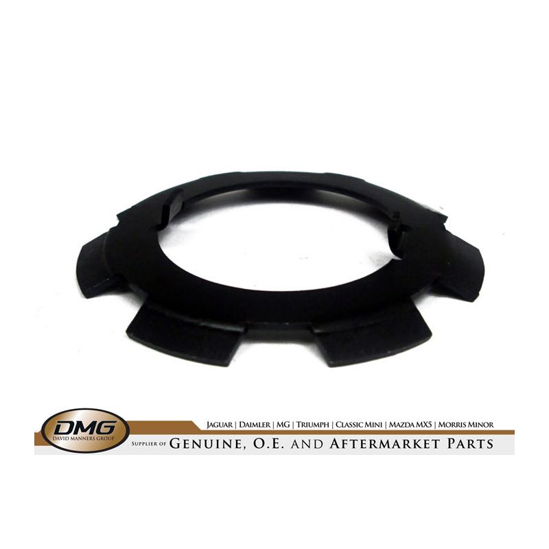 DIFFERENTIAL LOCKWASHER:  ALL I.R.S.MODELS