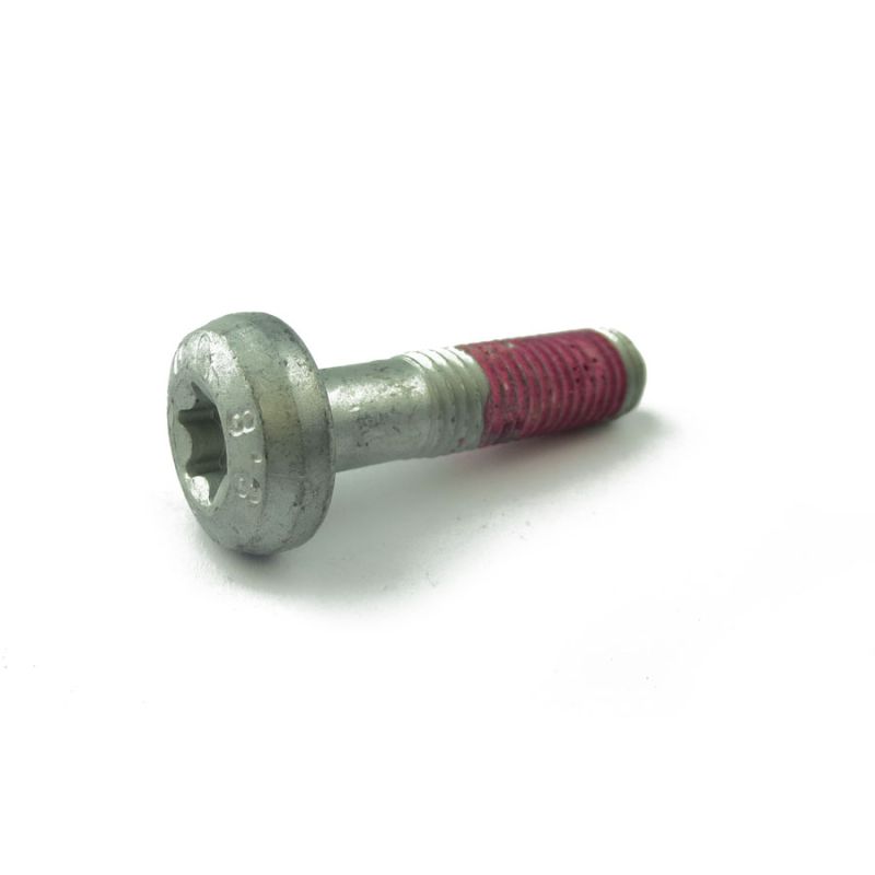 TORX SCREW:  X308