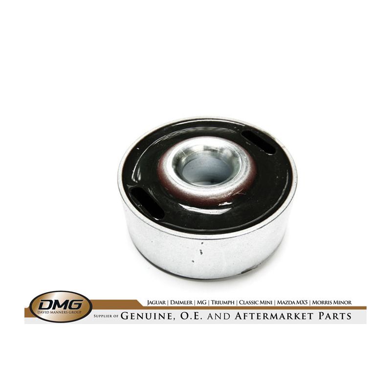 RADIUS ARM BUSH (LARGE):  ALL I.R.S.MODELS