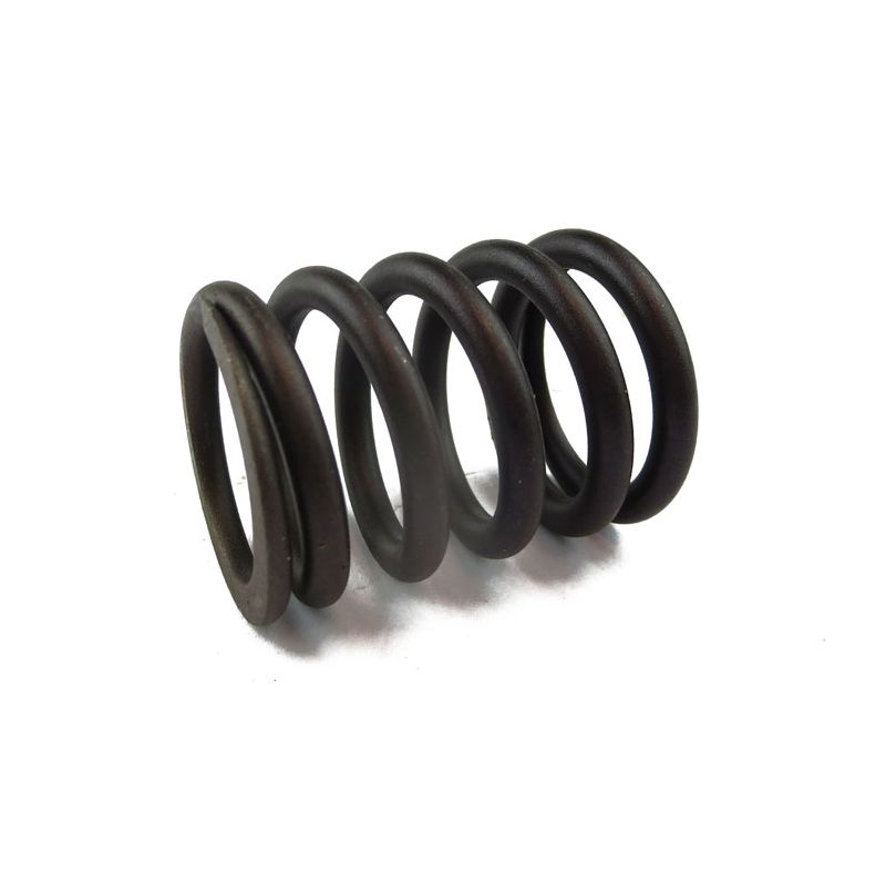 VALVE SPRING:  XJ40, XJS