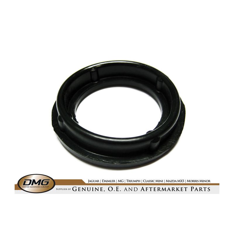 SPARK PLUG BOSS SEAL:  X300