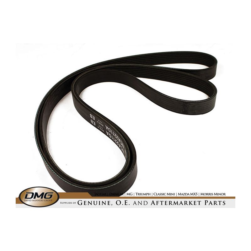 DRIVE BELT:  XJ8 02> XK8 00-02