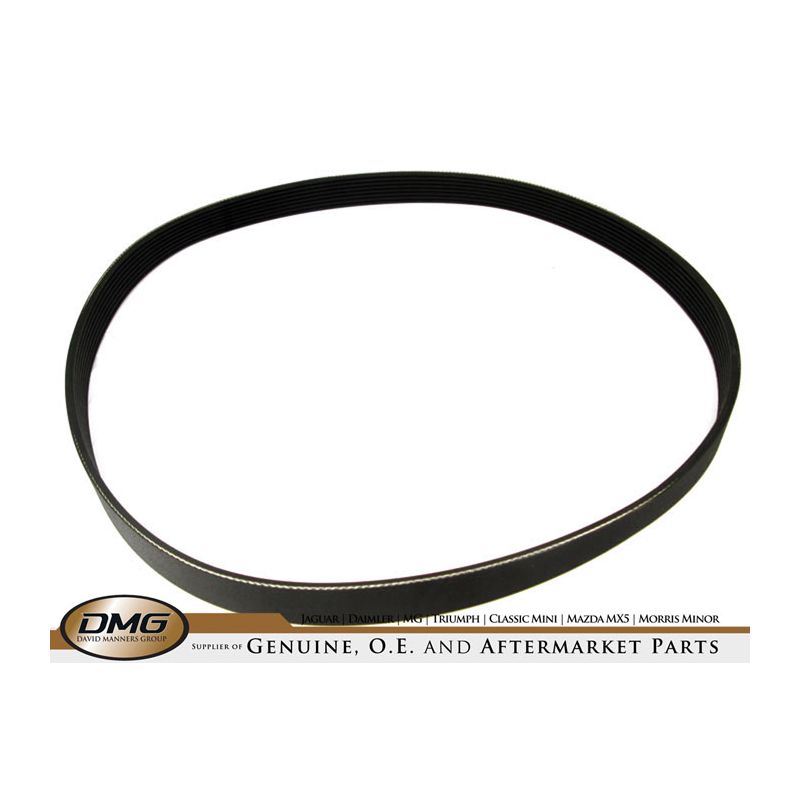 SUPERCHARGER DRIVE BELT:  XK8 EARLY,  XJ8 EARLY