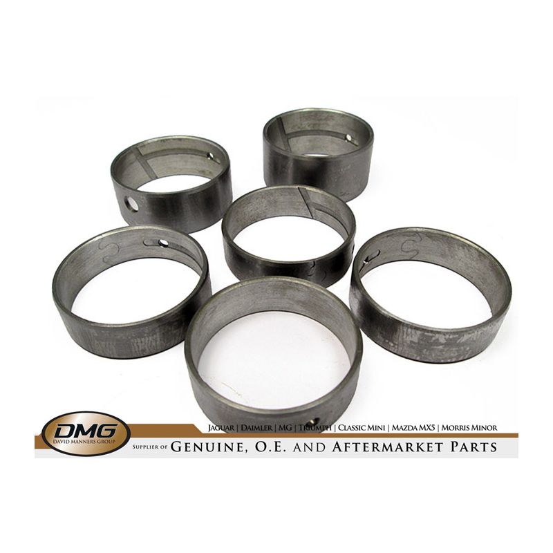 CAMSHAFT BEARING KIT:  V8, DART