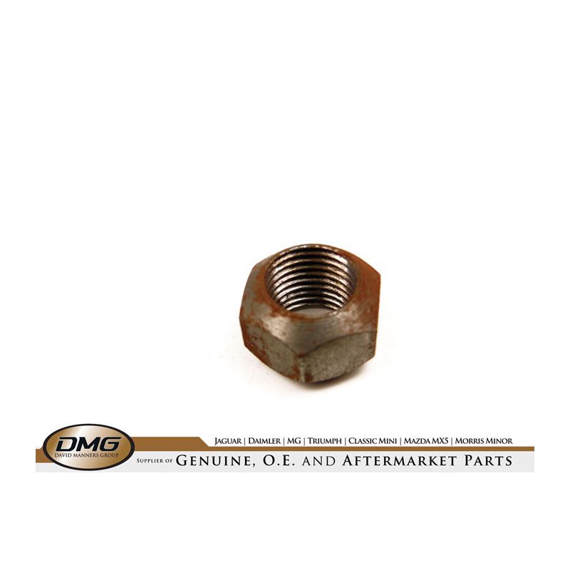 HUB NUT (SPECIAL):  DART