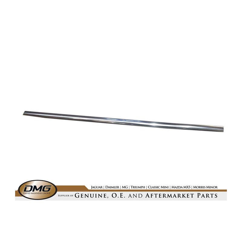 DOOR WAIST SEAL (BRIGHT FINISH):  S-TYPE