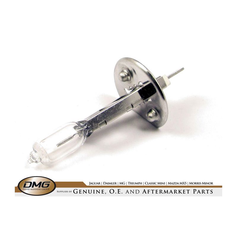 HEADLAMP / FOG BULB (H1 55W):  X-TYPE