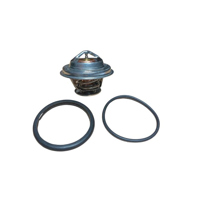 THERMOSTAT:  XJ8, XK8 (X308)