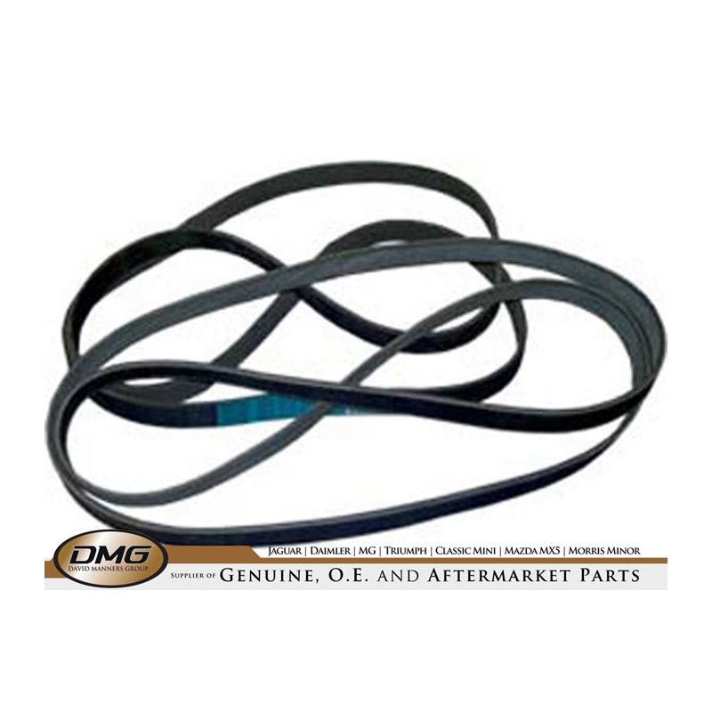 DRIVE BELT:  XJ8 02>  XK8 00-02