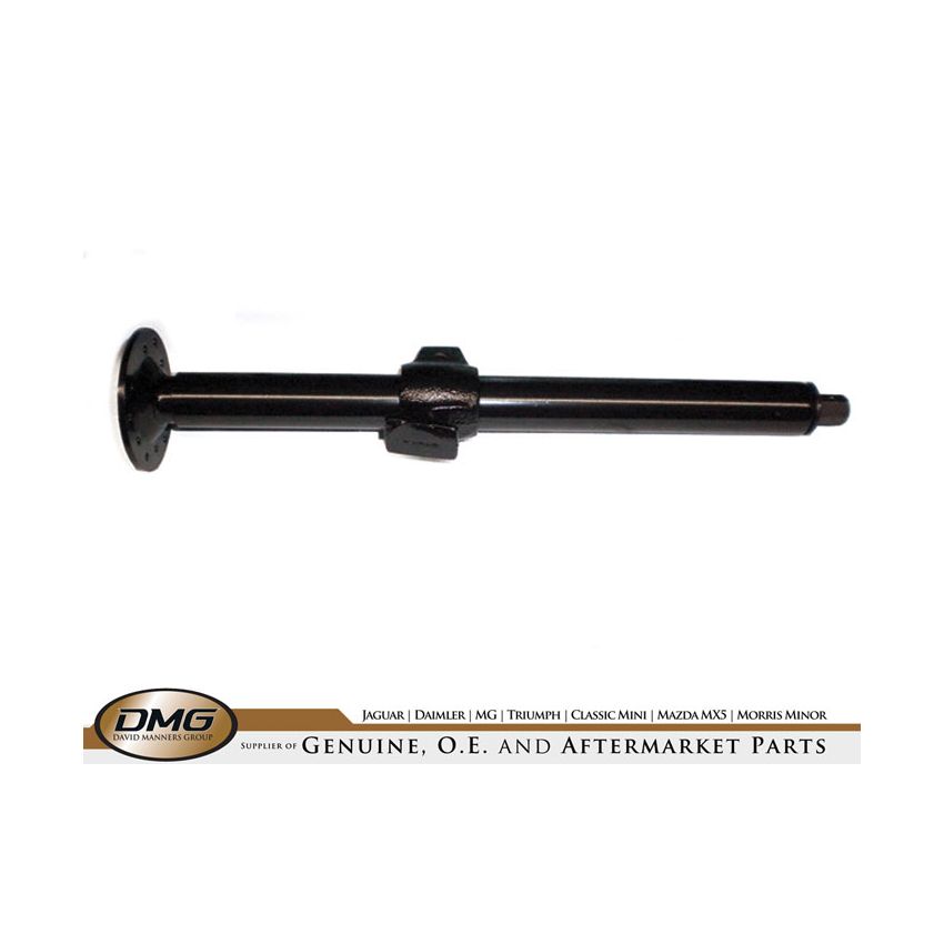 LIFTING JACK:  DART