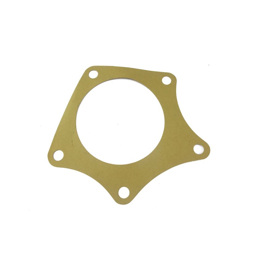 WATER PUMP GASKET:  DART