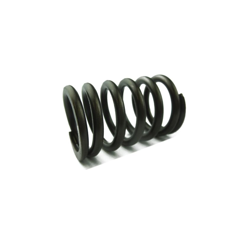 VALVE SPRING OUTER:  V8, DART