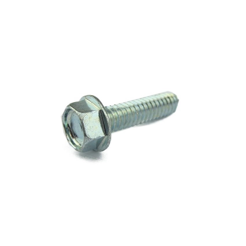 CAM COVER SCREW:  V12 ENGINE