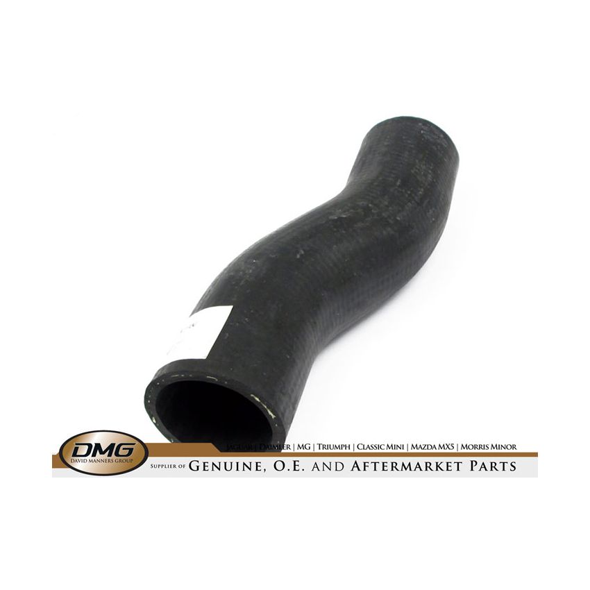BOTTOM HOSE:  XK120