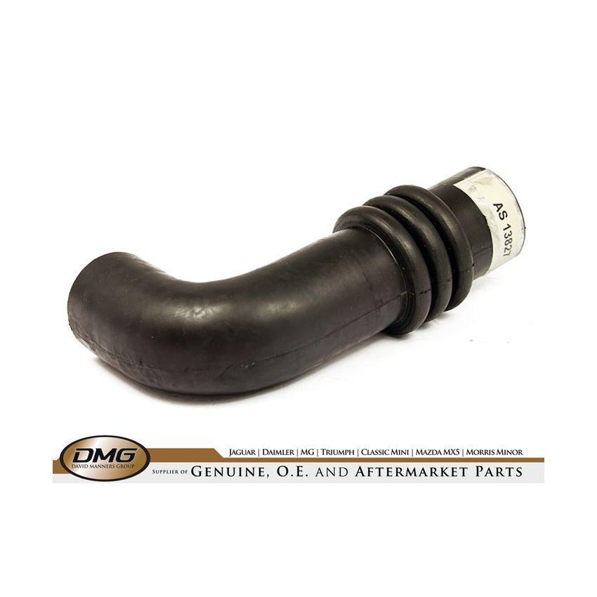 TOP HOSE:  XK120