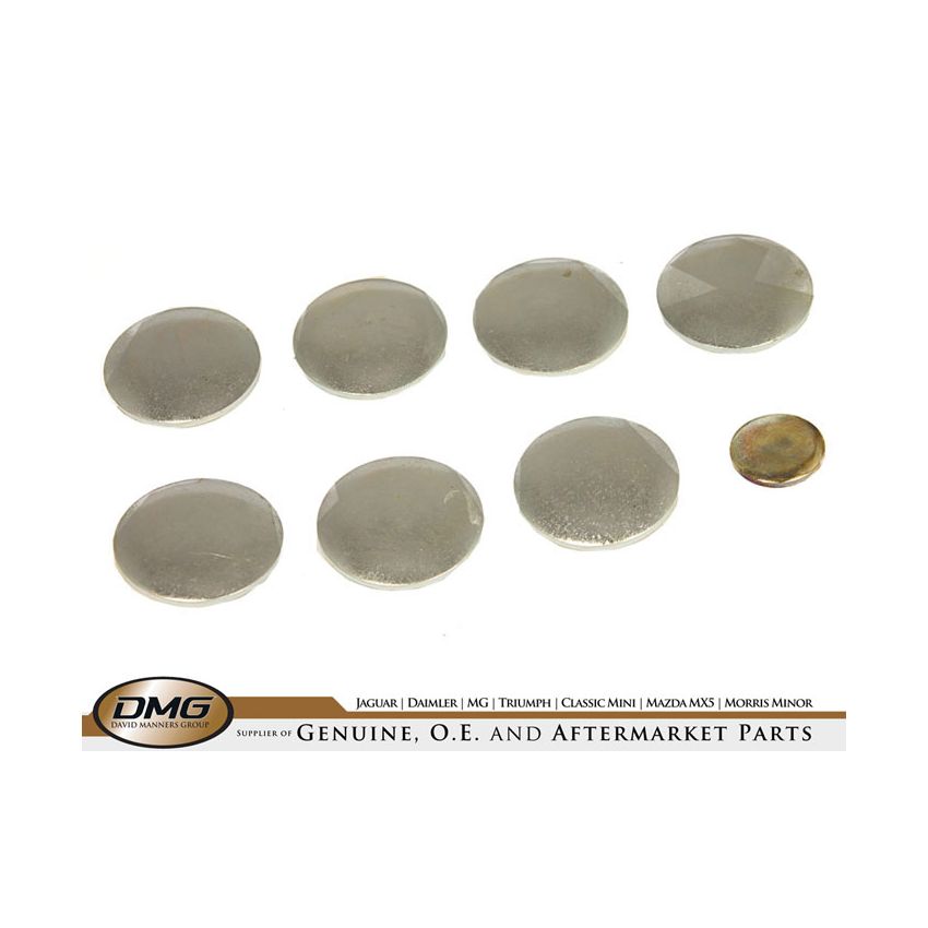 CORE PLUG KIT:  6 CYL (NOT 4.2 OR XJ)